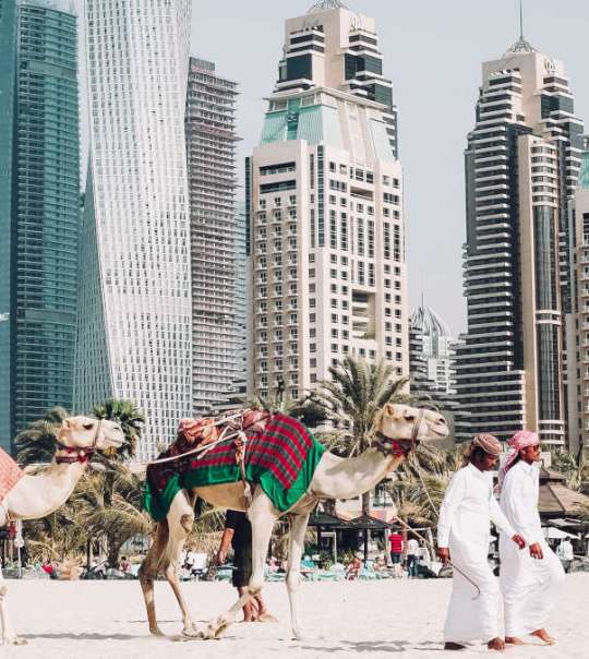 Quels sont les mellieurs hôtels de Dubaï ?