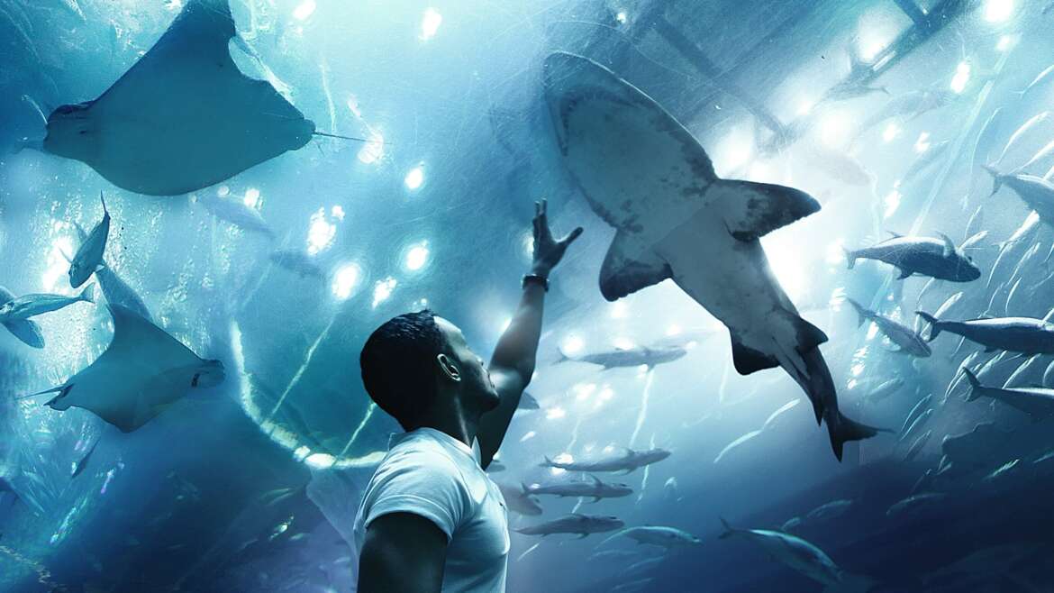 PASS DUBAI EXPLORER : QUEL PASS DUBAÏ ACHETER ? Les activités de Dubai pour pas cher ? – Tips + Avis + Conseils