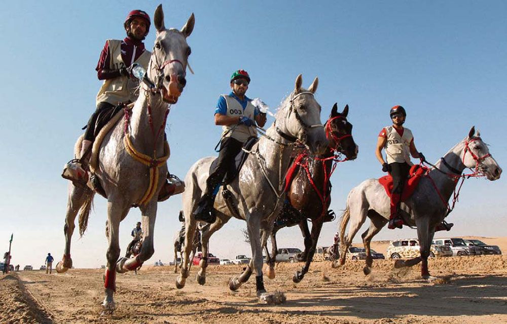 Pourquoi le Qatar et Dubaï choisisent-ils Jullianges pour une compétition équestre inédite ?
