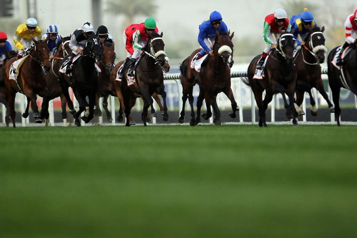 découvrez la passion équestre à la compétition équestre de jullianges, entre le qatar et dubaï. assistez à des performances éblouissantes d'athlètes équestres et explorez l'élégance et la tradition des sports équestres dans un cadre exceptionnel.