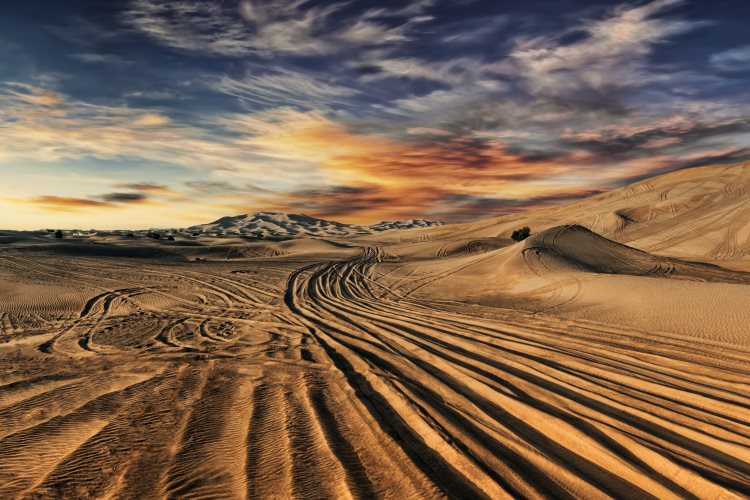 Pourquoi la température ressentie à Dubaï frôle-t-elle les 62°C ? Vous ne devinerez jamais la vérité !