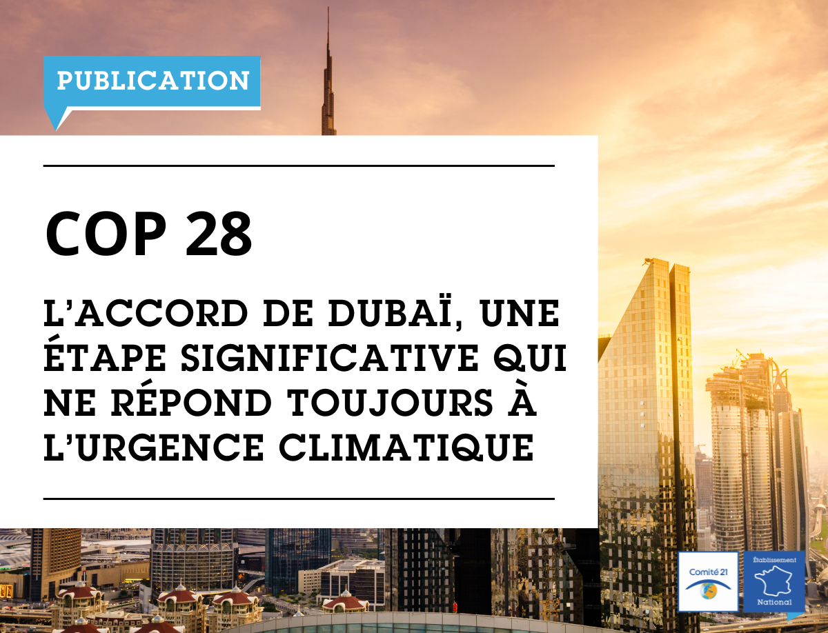 Pourquoi les résultats records de l’Autorité de l’électricité et de l’eau de Dubaï vont-ils transformer le paysage énergétique mondial en 2024 ?