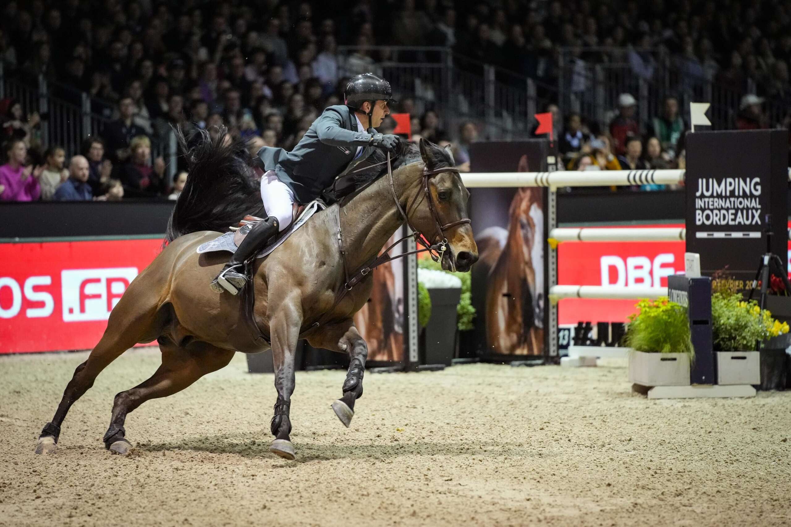 découvrez la jument de dubaï qui participera aux jeux olympiques d'été 2024. plongez dans l'univers équestre de cette athlète exceptionnelle et préparez-vous pour des performances éblouissantes sur la scène internationale.