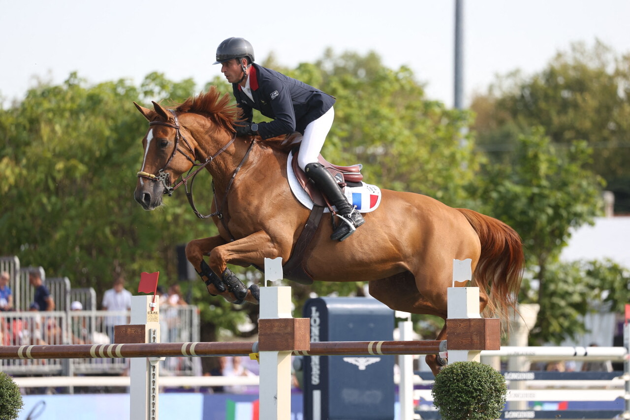 découvrez la jument dubaï, étoile des jeux olympiques 2024 ! plongez dans l'univers fascinant de l'équitation, admirez ses performances éblouissantes et suivez son parcours prometteur vers la gloire olympique.