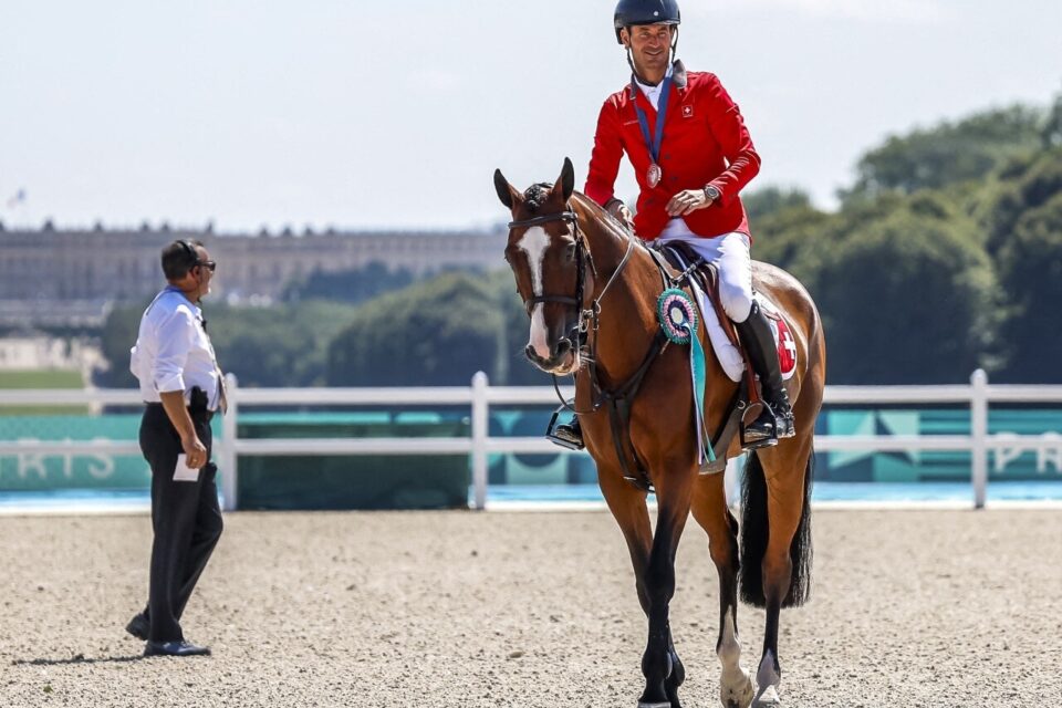découvrez la jument dubaï, vedette des jeux olympiques de paris 2024. suivez son parcours inspirant et son entraînement exceptionnel qui l'ont menée au sommet. un récit passionnant mêlant passion, détermination et excellence équestre.