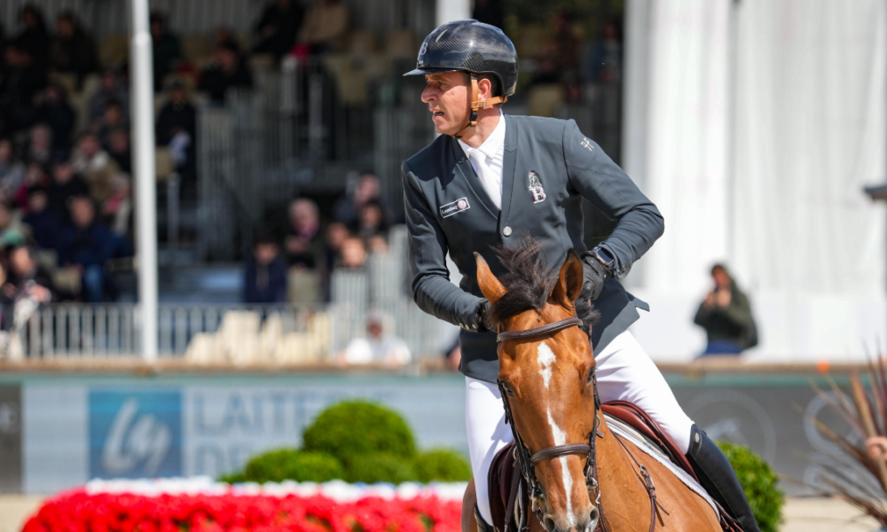 découvrez la magnifique jument qui représentera dubaï aux jeux olympiques 2024. préparez-vous à suivre son parcours exceptionnel dans le monde de l'équitation et à vivre des moments inoubliables durant cet événement sportif majeur.