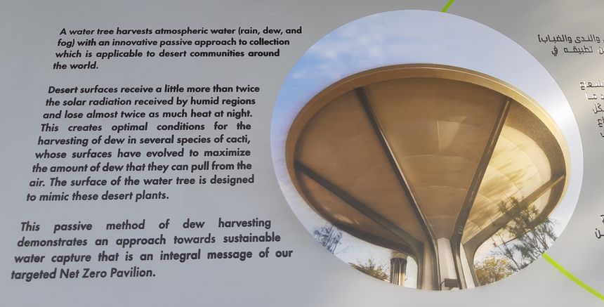découvrez la température ressentie à dubaï, une ville où le climat chaud et sec peut parfois surprendre. informez-vous sur les conditions météorologiques actuelles pour mieux planifier vos activités en plein air et profiter pleinement de votre séjour dans cette métropole dynamique.