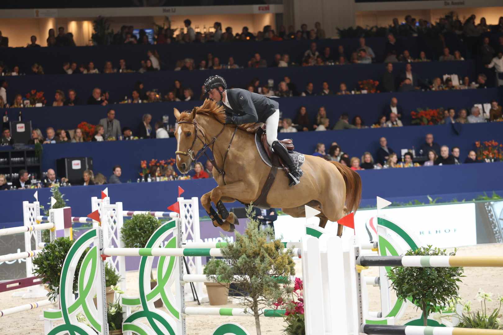 découvrez l'univers captivant de l'équitation à dubaï avec julien épaillard. explorez ses performances équestres, ses conseils d'expert et plongez dans la passion de l'équitation dans cette métropole dynamique.